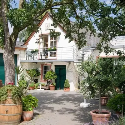 Weingut Endesfelder