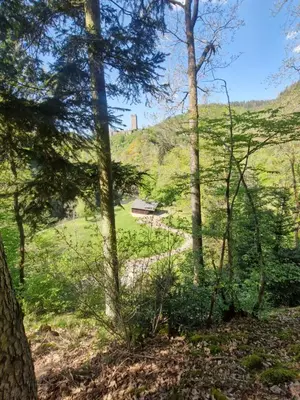 Naturlandschaft in der Nähe der Ferienwohnung