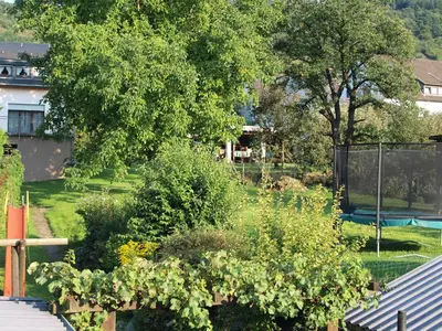 Ein Garten an der Unterkunft Weingut Gorges-Reinhard