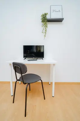 TV/Unterhaltungsangebot in der Unterkunft Koblenz Metternich Apartment, perfekt für 4
