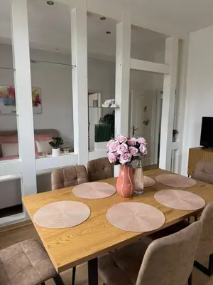 TV/Unterhaltungsangebot in der Unterkunft Schickes Apartment am Rhein mit Rheinblick 4