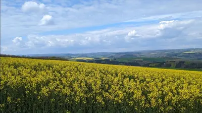 Naturlandschaft in der Nähe des Ferienhauses