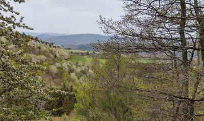 Naturlandschaft in der Nähe der Ferienwohnung