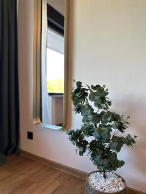 Grundriss der Unterkunft Festungsblick am Rhein - Panorama Suite