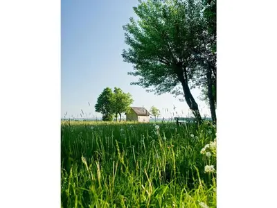 Grundriss der Unterkunft Holiday home with 2 bedrooms