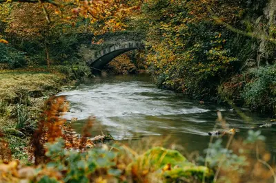 Naturlandschaft in der Nähe des Hotels