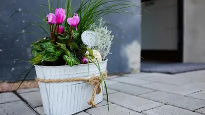 Grundriss der Unterkunft Manus Ferienwohnung