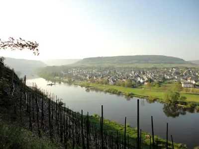 Naturlandschaft in der Nähe der Pension