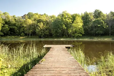 Naturlandschaft in der Nähe der Ferienwohnung