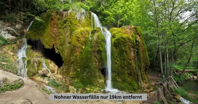 Naturlandschaft in der Nähe der Ferienwohnung