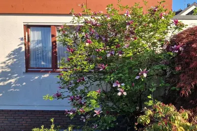 Ein Garten an der Unterkunft Vintage charm with comfort