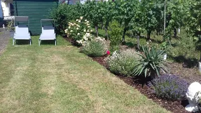 Ein Garten an der Unterkunft Ferienwohnung Ketter Wein & Urlaub