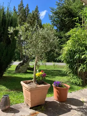 Ein Garten an der Unterkunft Ferienwohnung Gräfendhron