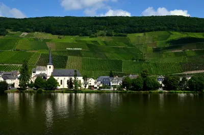 Naturlandschaft in der Nähe des Gasthauses