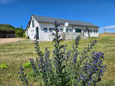 Ein Garten an der Unterkunft Appartement am Landhaus
