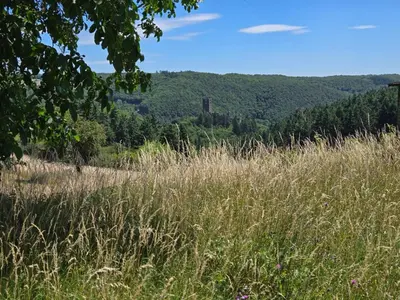 Naturlandschaft in der Nähe des Ferienhauses