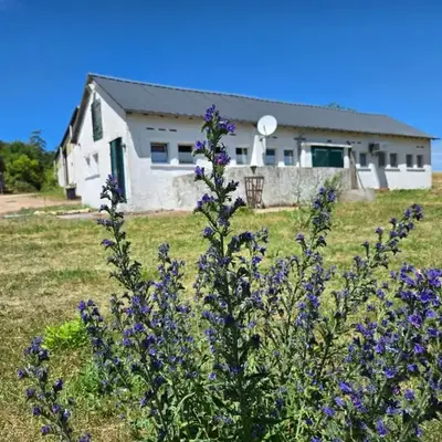 Appartement am Landhaus