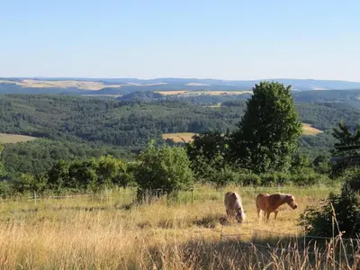Naturlandschaft in der Nähe des Ferienhauses