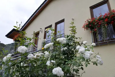 Ein Garten an der Unterkunft Pension Basten