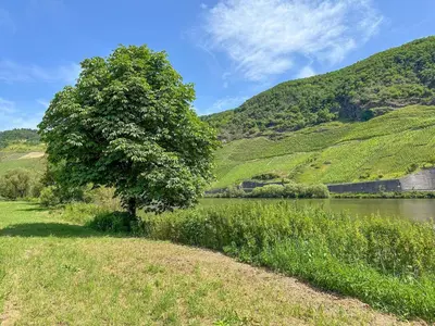 Naturlandschaft in der Nähe der Ferienwohnung