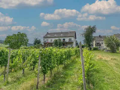 Ein Garten an der Unterkunft Hermes-Lex Weingut