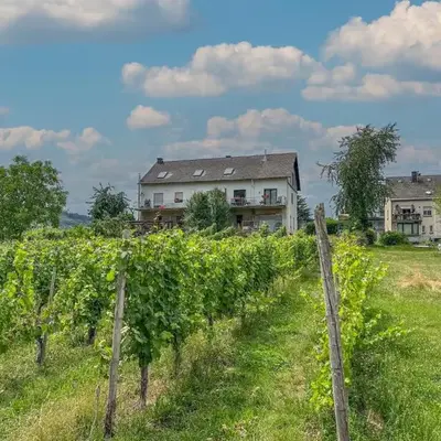 Hermes-Lex Weingut