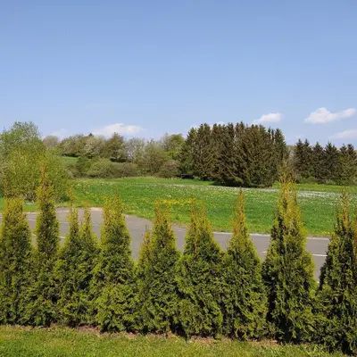 Ein Garten an der Unterkunft Erholung in der Vulkaneifel