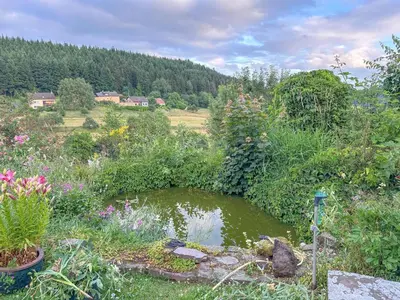 Naturlandschaft in der Nähe des Ferienhauses
