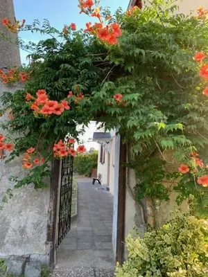 Ein Garten an der Unterkunft Gästehaus auf der Burg im Vulkan Park Laacher See
