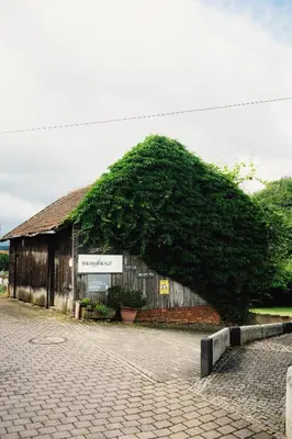 Ein Garten an der Unterkunft Ferienwohnung Weinträumerei