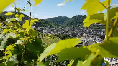 Ein allgemeiner Bergblick oder ein Berglick von der Ferienwohnung aus
