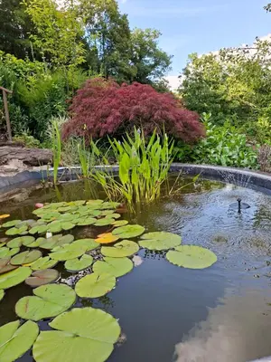 Ein Garten an der Unterkunft Krez Ferienhaus