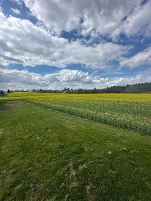 Naturlandschaft in der Nähe des Ferienhauses