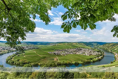Naturlandschaft in der Nähe der Ferienwohnung
