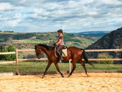Reiten im Ferienhaus oder in der Nähe