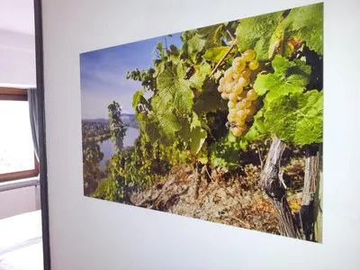 Grundriss der Unterkunft Pension Adelheid Moselhype&Wine
