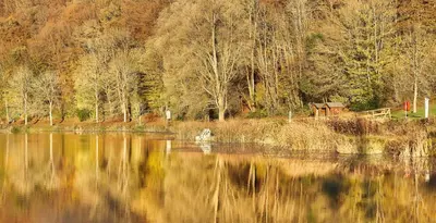 Naturlandschaft in der Nähe des Ferienhauses