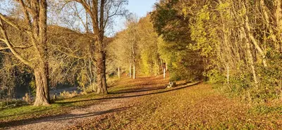 Naturlandschaft in der Nähe des Ferienhauses