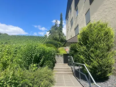 Ein Garten an der Unterkunft Mosel Valley View Apartment - Budget-Friendly with Garage