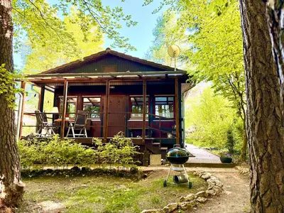 Ein Garten an der Unterkunft Blockhütte im Wald in der Eifel