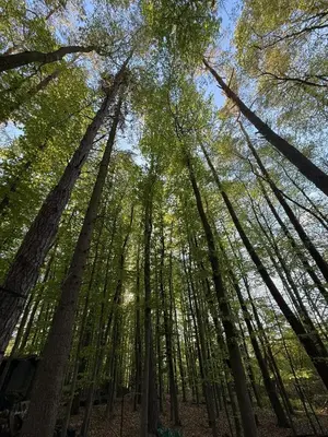 Naturlandschaft in der Nähe des Ferienhauses
