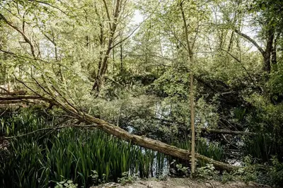 Naturlandschaft in der Nähe der Zelt-Lodge