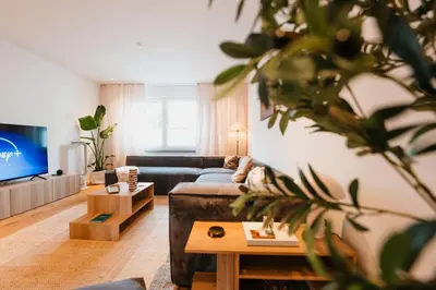 TV/Unterhaltungsangebot in der Unterkunft Designer 2BR Flat Near City Center & The Mosel River
