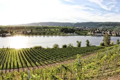 Naturlandschaft in der Nähe des Hotels