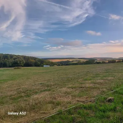 Naturlandschaft in der Nähe der Ferienwohnung