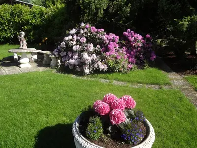 Ein Garten an der Unterkunft Gästehaus am Ahornweg