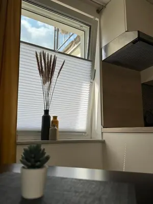 Küche/Küchenzeile in der Unterkunft Moselgold Apartment