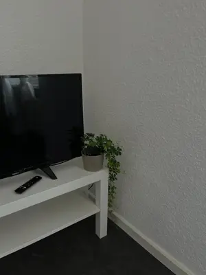 TV/Unterhaltungsangebot in der Unterkunft Ferienwohnung Vino 1881