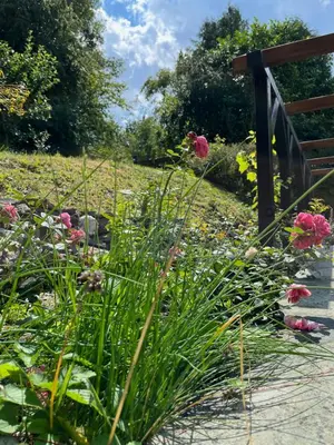 Ein Garten an der Unterkunft Loreley Secret Garden