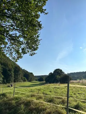 Naturlandschaft in der Nähe der Ferienwohnung
